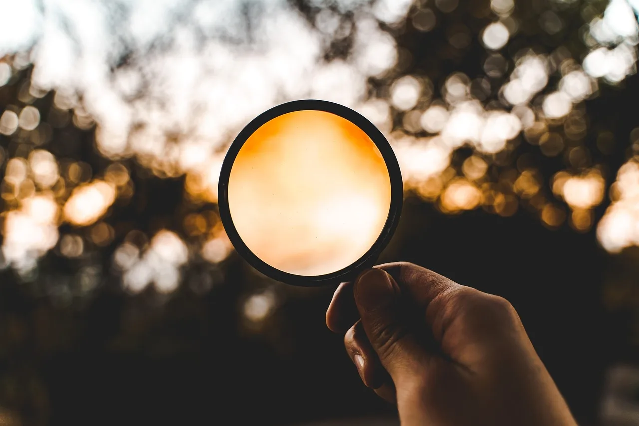 magnifying glass, nature, loupe, discover, look, outdoors, forest, mountain. A beginner examination kit: six cheap tools for looking, not making