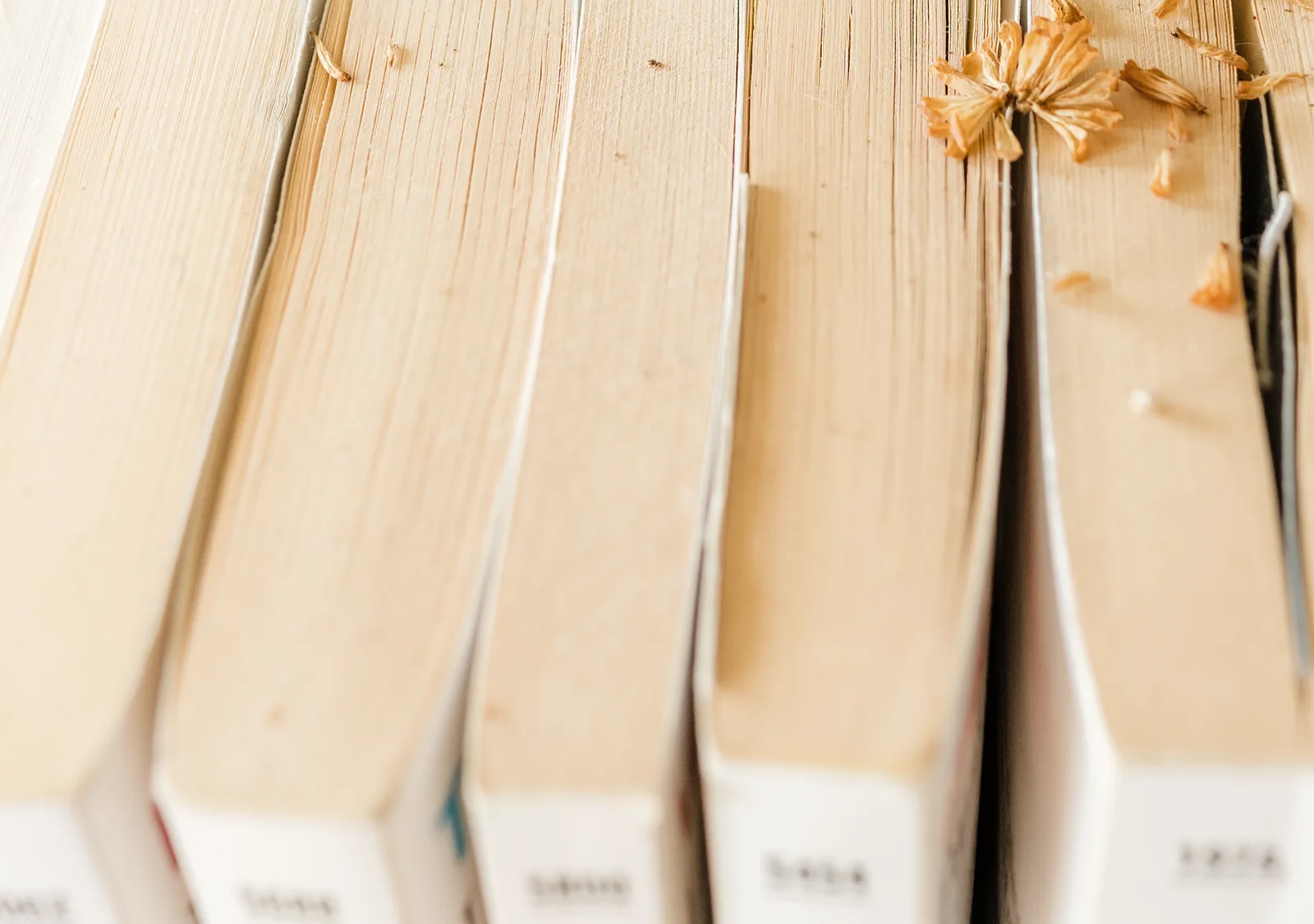 A close-up of vintage book spines with a selective focus revealing aged paper texture. Which error should decide your next bookbinding tool purchase?
