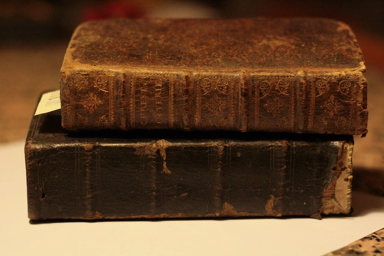 books, leather, old, antique, binding, knowledge, read, school, university, study, antique, knowledge, knowledge, knowledge, knowledge, knowledge. Quebec bookbinding terms and the French-language resources worth owning