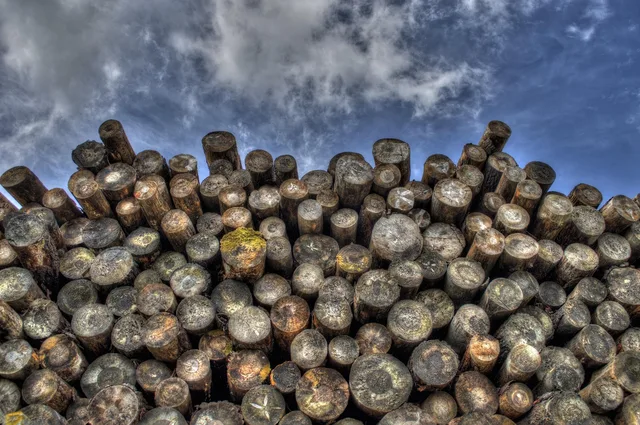 logs, wood, lumber, logging, bole, firewood, pieces of timber, woodpile, wooden, timber, forestry, deforestation, material, logs, lumber, lumber, logging, logging, firewood, timber, timber, deforestation, deforestation, deforestation, deforestation, deforestation. Sourcing bookboard and paper in Toronto, Montreal or Vancouver compared