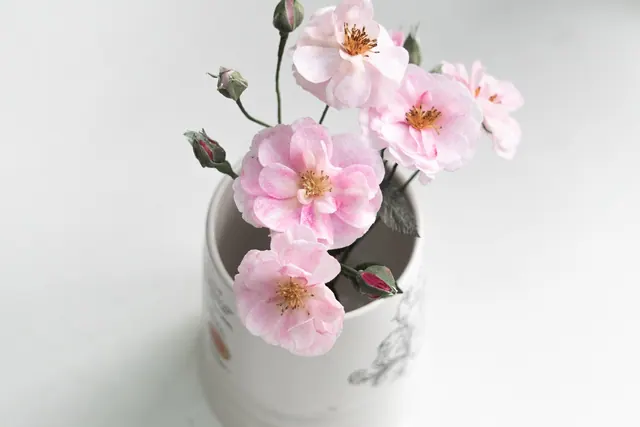 roses, paper flowers, bloom, handmade, craft, handcraft