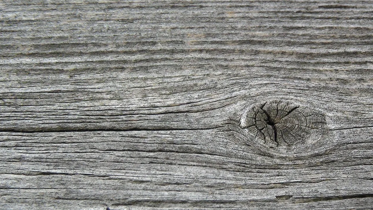 wood, texture, wood texture, old wood, natural, wooden, material, timber, hardwood, plank, grain, textured, surface, board, gray texture, gray wood, gray board, wood texture, wood texture, wood texture, wood texture, wood texture, wooden, plank. What actually separates good book arts materials: pH, lignin or grain?