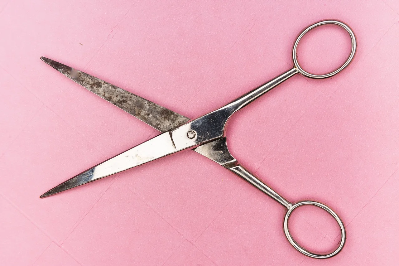 scissors, metal, to cut, tool, section, sharp, hairdresser, knife, stole, blade, stainless steel, tools, office, scissors, hairdresser, hairdresser, hairdresser, hairdresser, hairdresser. Storing bookbinding tools means separate boxes for steel and organic stock