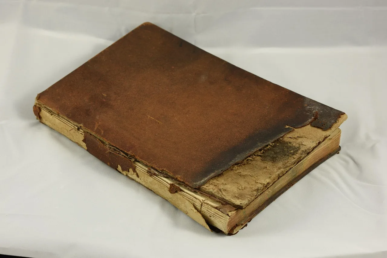 ruined book, destroyed, burned, damaged, water damaged, rotted, rotten, book, vintage, old, horror, creepy, grunge, sad, scary, ruined book, ruined book, ruined book, ruined book, ruined book, damaged, book, sad. Does the paper damage record actually point to water more than workmanship?